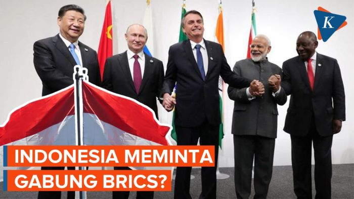 Hubungan indonesia dengan negara barat setelah bergabung brics